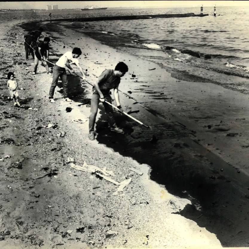 Lifeguards And Nyc Parks Department Rake Oil-Soaked Sand Of South Beach After A Spill, 1979.
