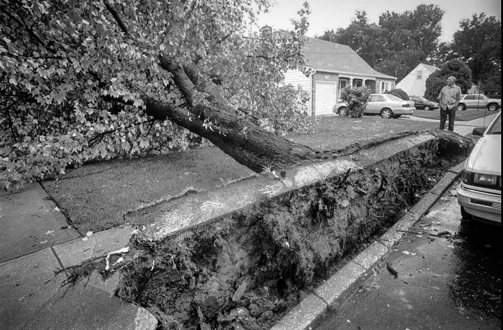 Storm Pulls Up Sidewalk On Arlene Street In Bulls Head, 1998.
