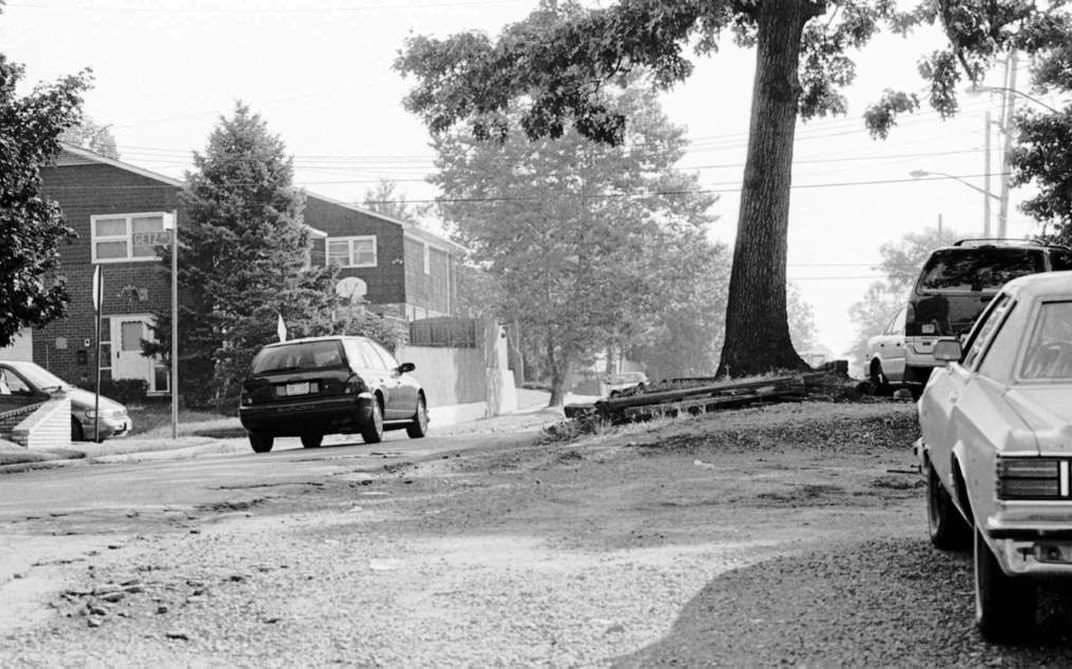 Cars Driving Along Genessee Avenue In Eltingville Avoid Hitting A Tree, Circa 1996.