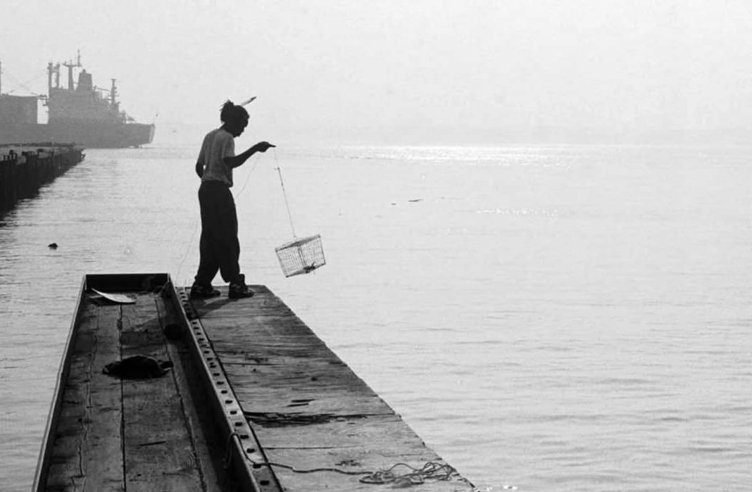 Tony Brown Of West Brighton Checks His Crab Traps At The Foot Of Victory Blvd. In Tompkinsville, 1996.