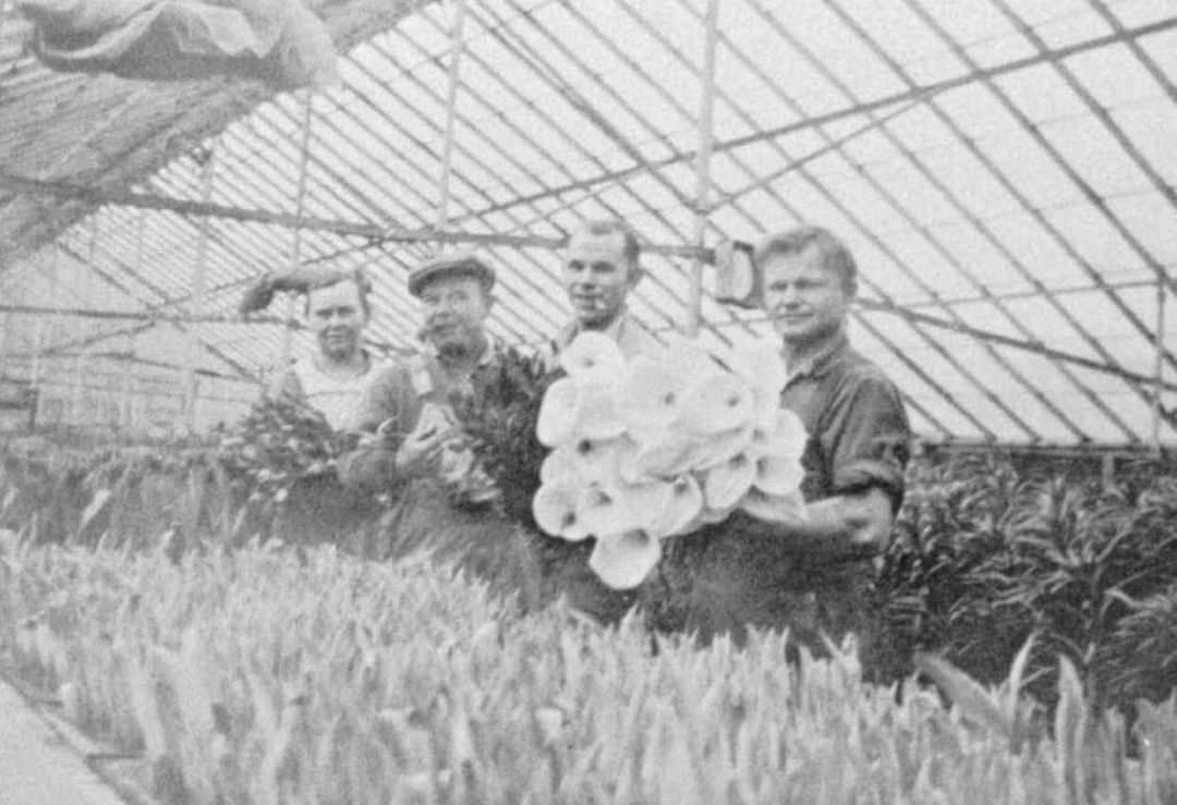 Mother'S Day Throwback: Mrs. Mohlenoff With Her Sons In The Family Greenhouse, The Last Large Farm In Richmond County, 1929