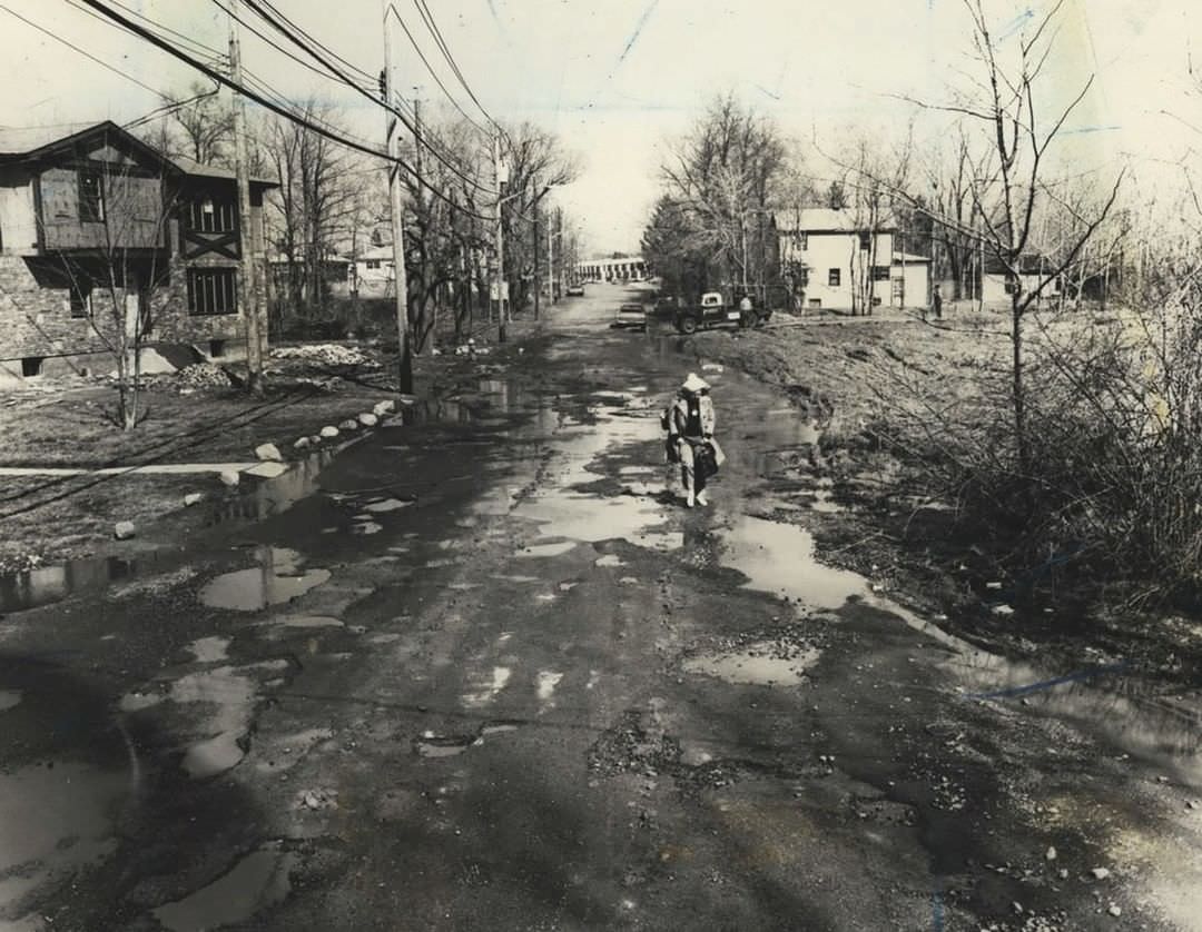Difficulty Crossing Shirley Avenue In Eltingville, 1978.