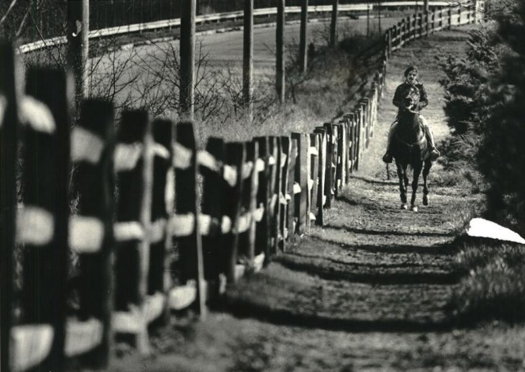 Bill Taute Riding A Thoroughbred On Clay Pit Ponds State Park Preserve Trails, 1989.
