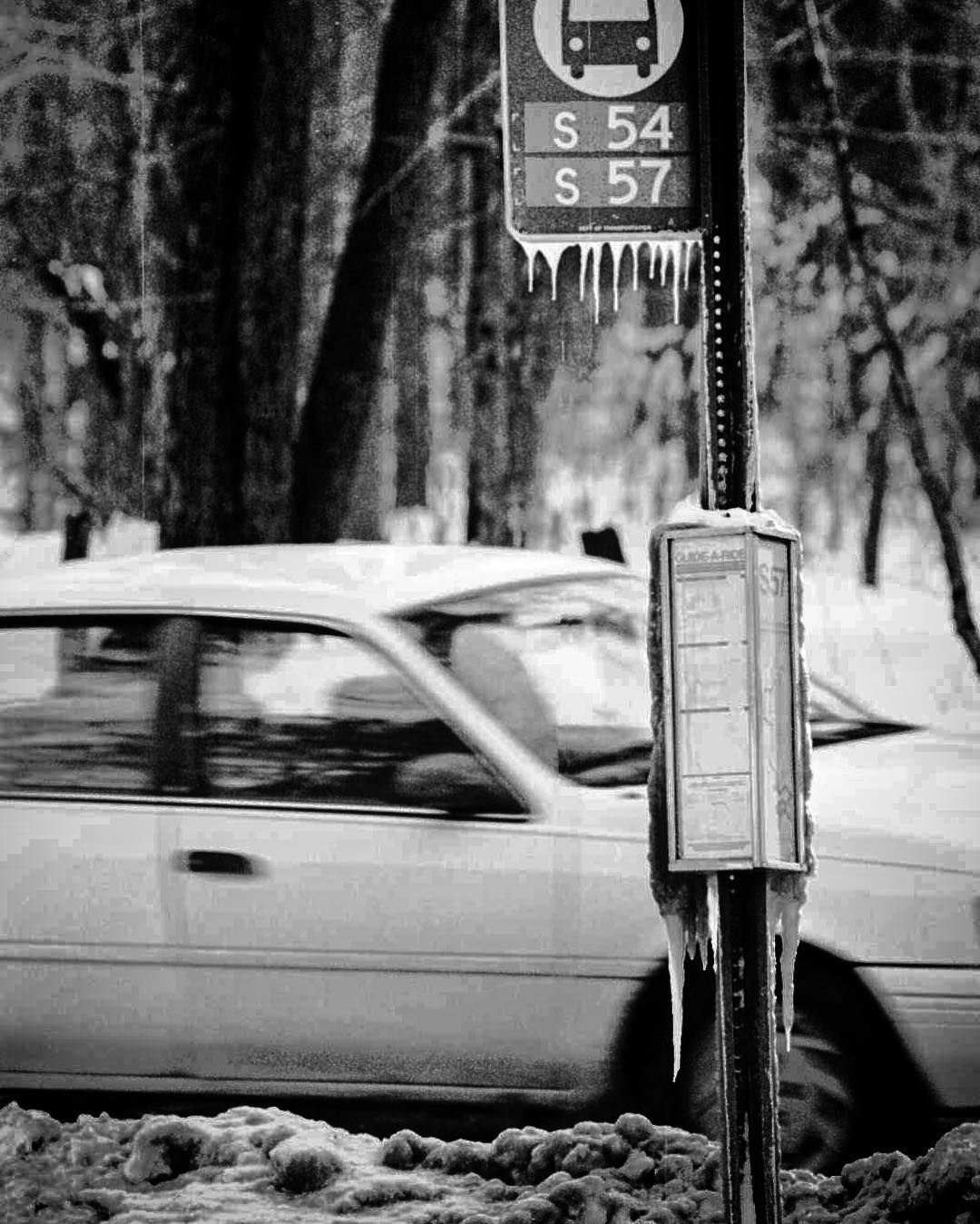 An Ice-Covered Bus Stop In Egbertville On A Day With Wind Chills Ranging From -10 To -20 Degrees, 1996.