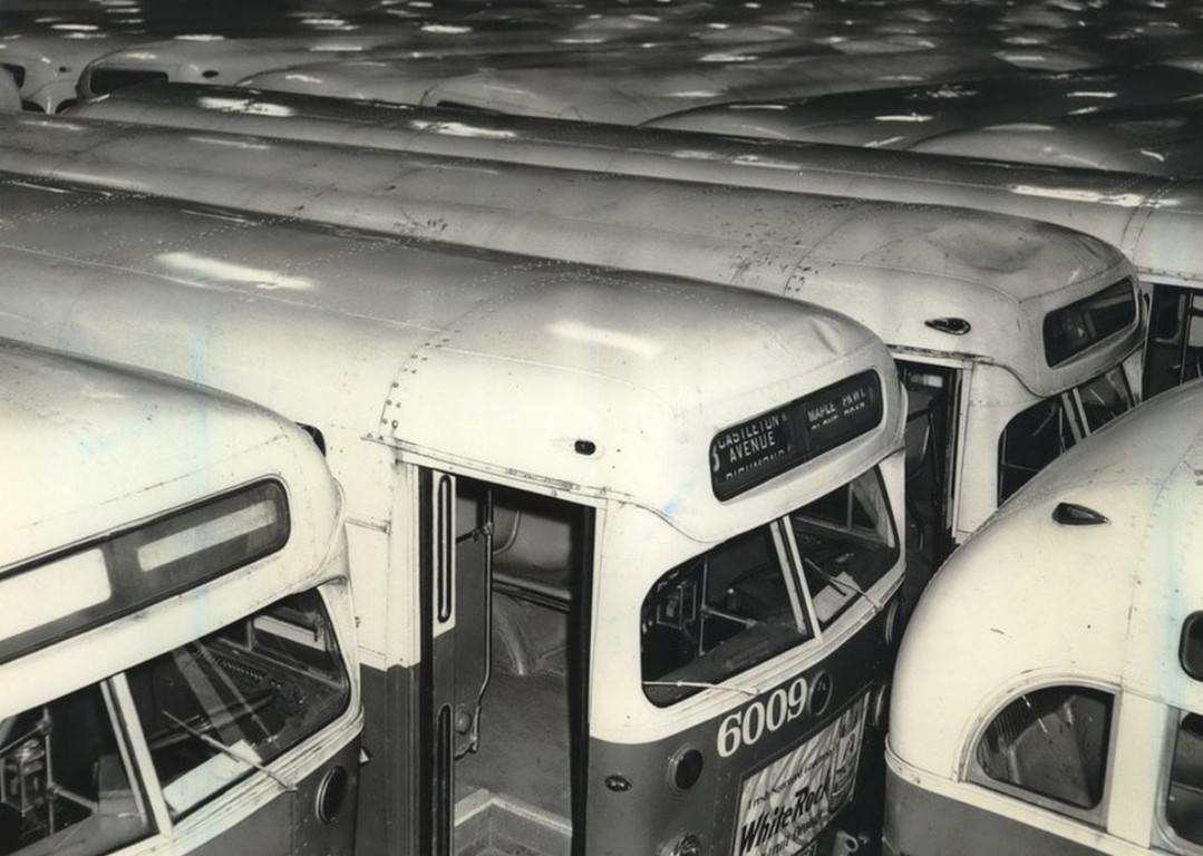 Transit Authority Buses, Staten Island, Circa 1966.