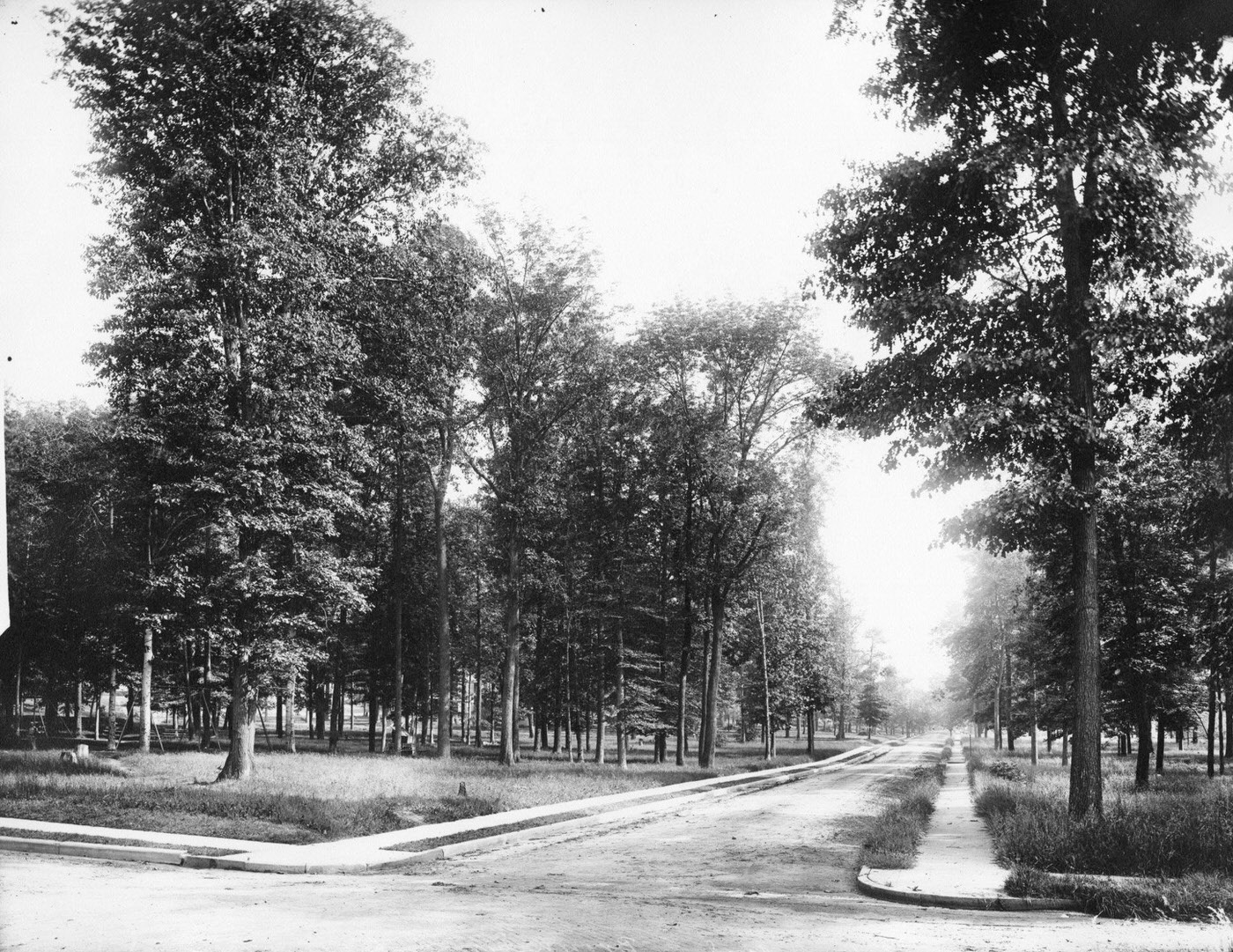 Brownings Prohibition Park, A Slice Of History, Staten Island, 1895.