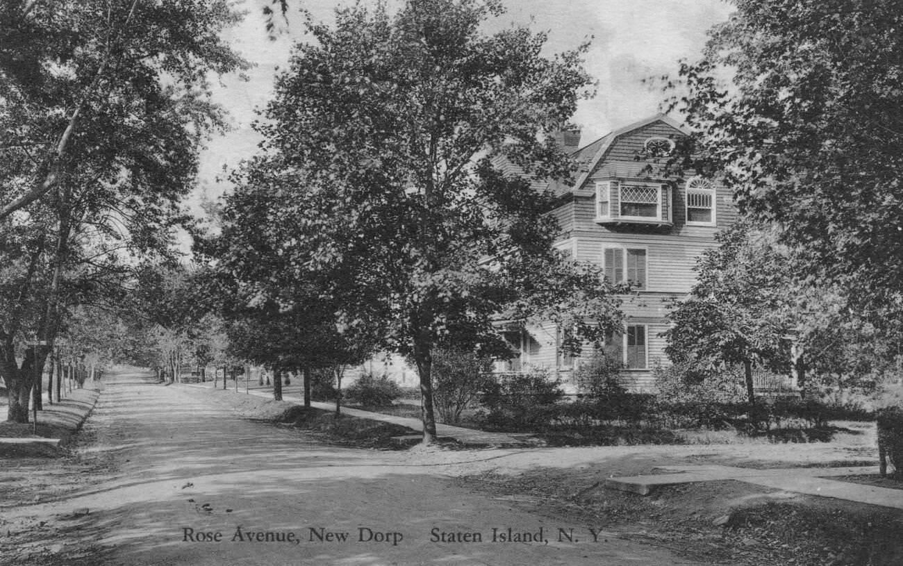 View Of Rose Avenue Lined By Trees, New Dorp, Staten Island, 1900.