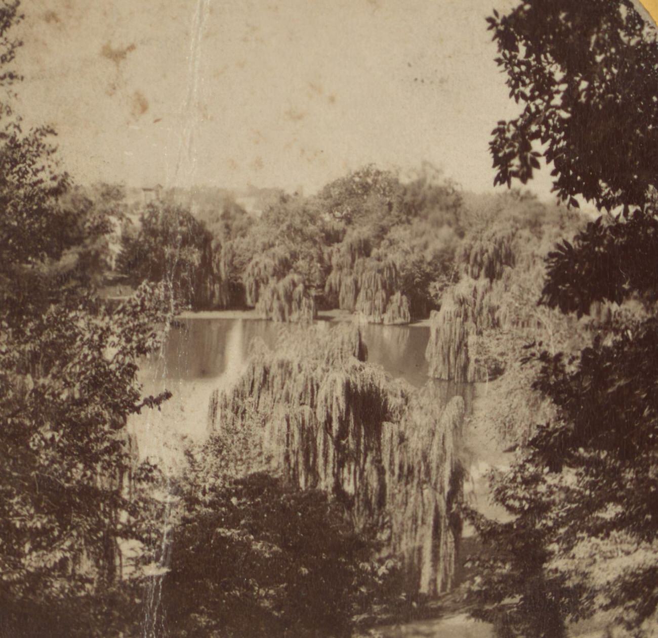 Sylvan Lake In Greenwood Cemetery, Brooklyn, 1860S