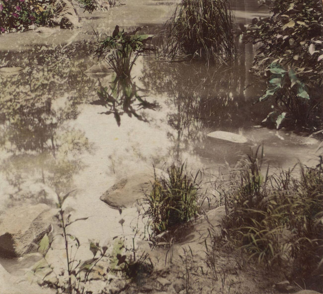 Mirror Lake In Prospect Park, Brooklyn, 1860S