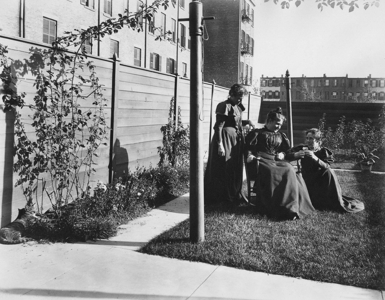 George P Hall Family In The Backyard Of 642 Putnam Avenue, Brooklyn, 1895
