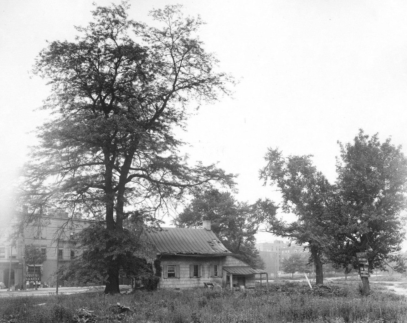 Rear View Of Teunis Bergen House At Flatbush And Cortelyou Roads, Brooklyn, 1895