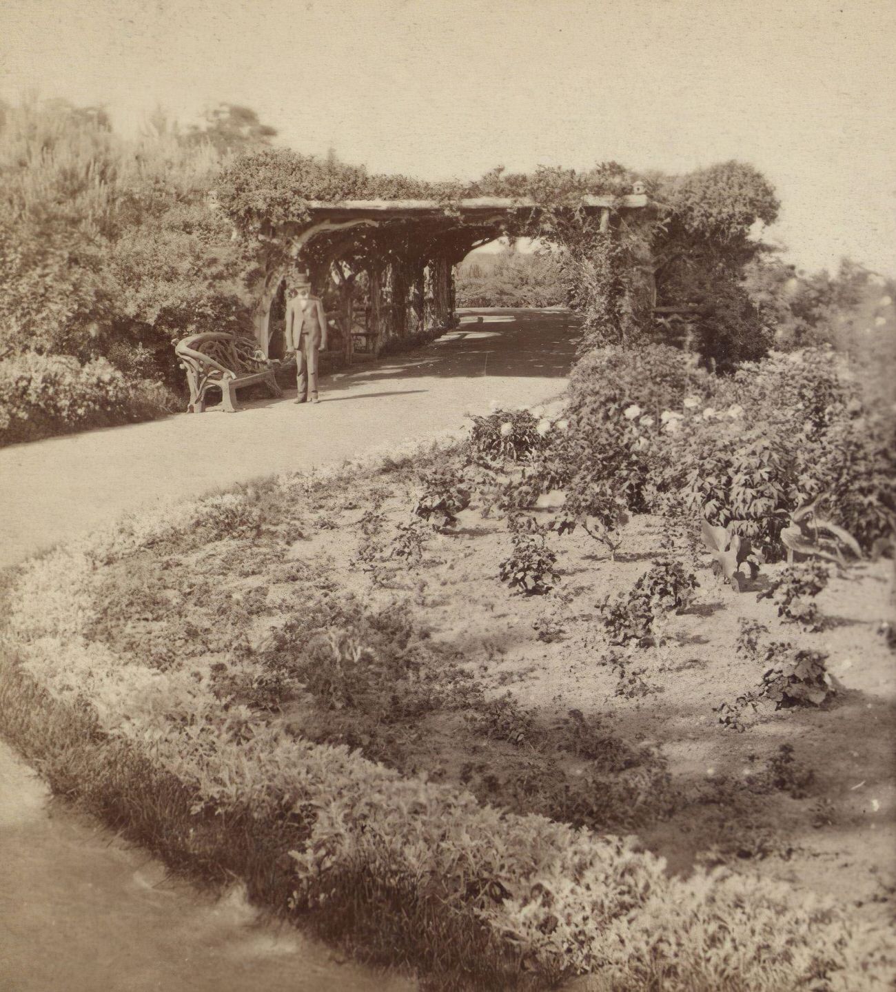 Scenic View Of Prospect Park, Brooklyn, 1910