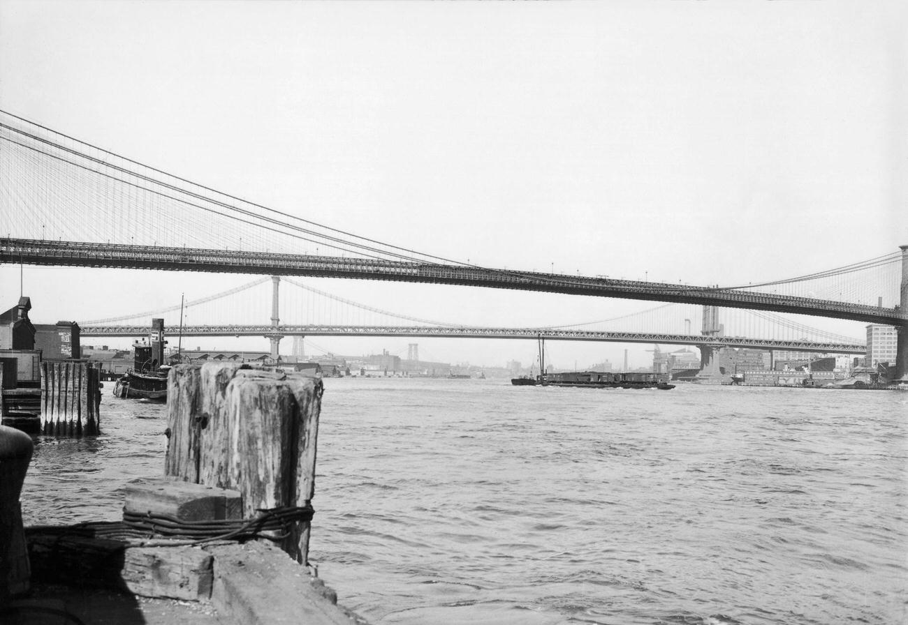 Brooklyn, Manhattan, And Williamsburg Bridges, Circa 1934