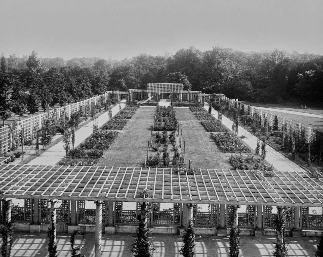Cranford Rose Garden In Brooklyn Botanic Garden Surrounded By Wooden Trellis Panels, Brooklyn, Circa 1935.