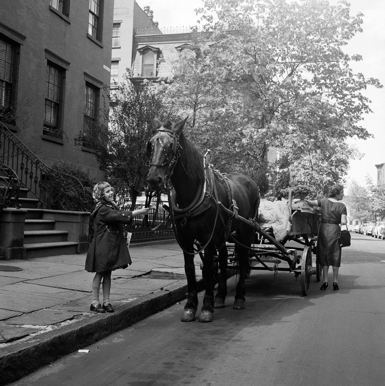 Young Girl Smiles At A Horse Delivering Plants In Brooklyn Heights, 1958.