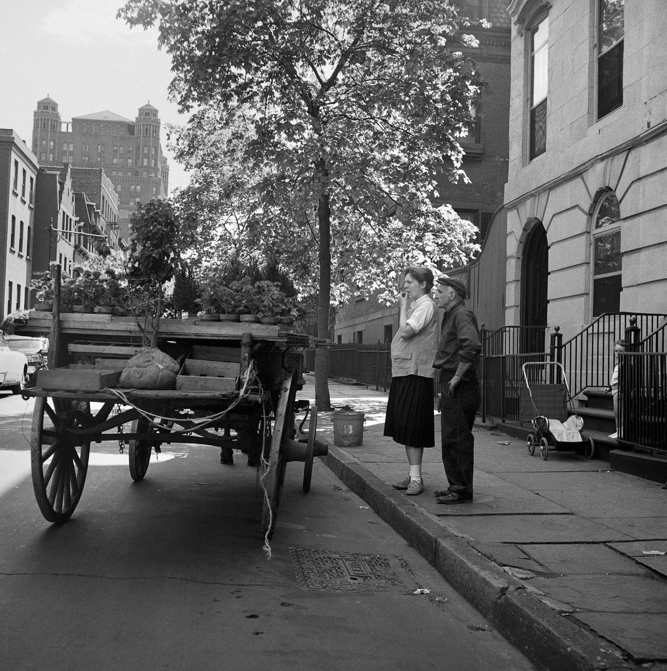 Man Delivers Plants From A Horse-Drawn Carriage In Brooklyn Heights, 1958.