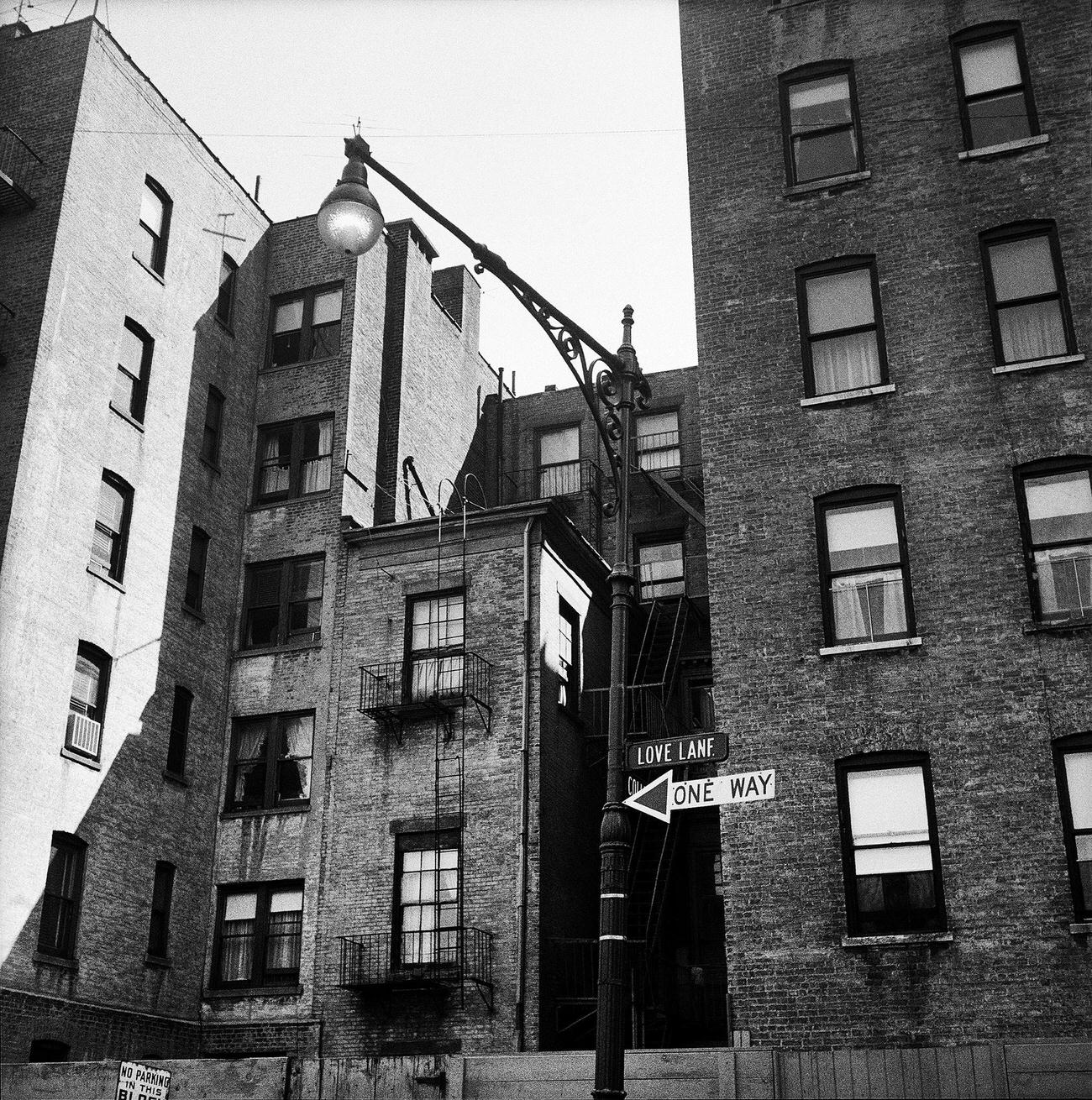 Love Lane In Brooklyn Heights, 1958.