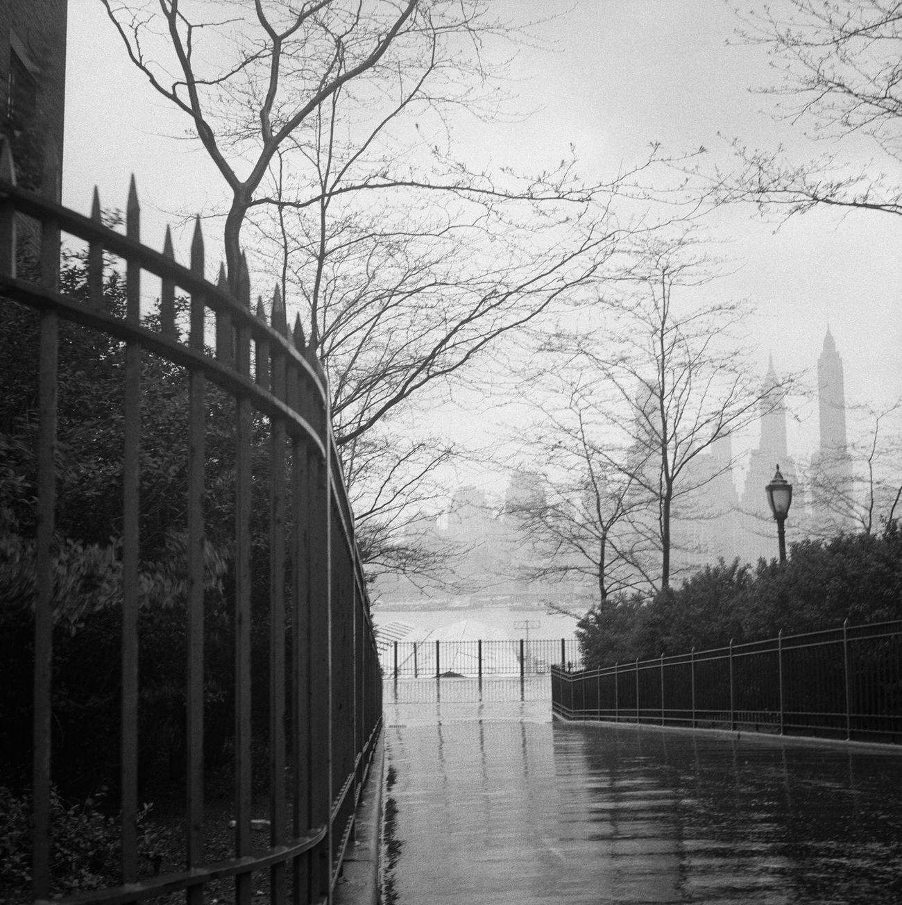 Brooklyn Heights Promenade In The Rain, 1958.