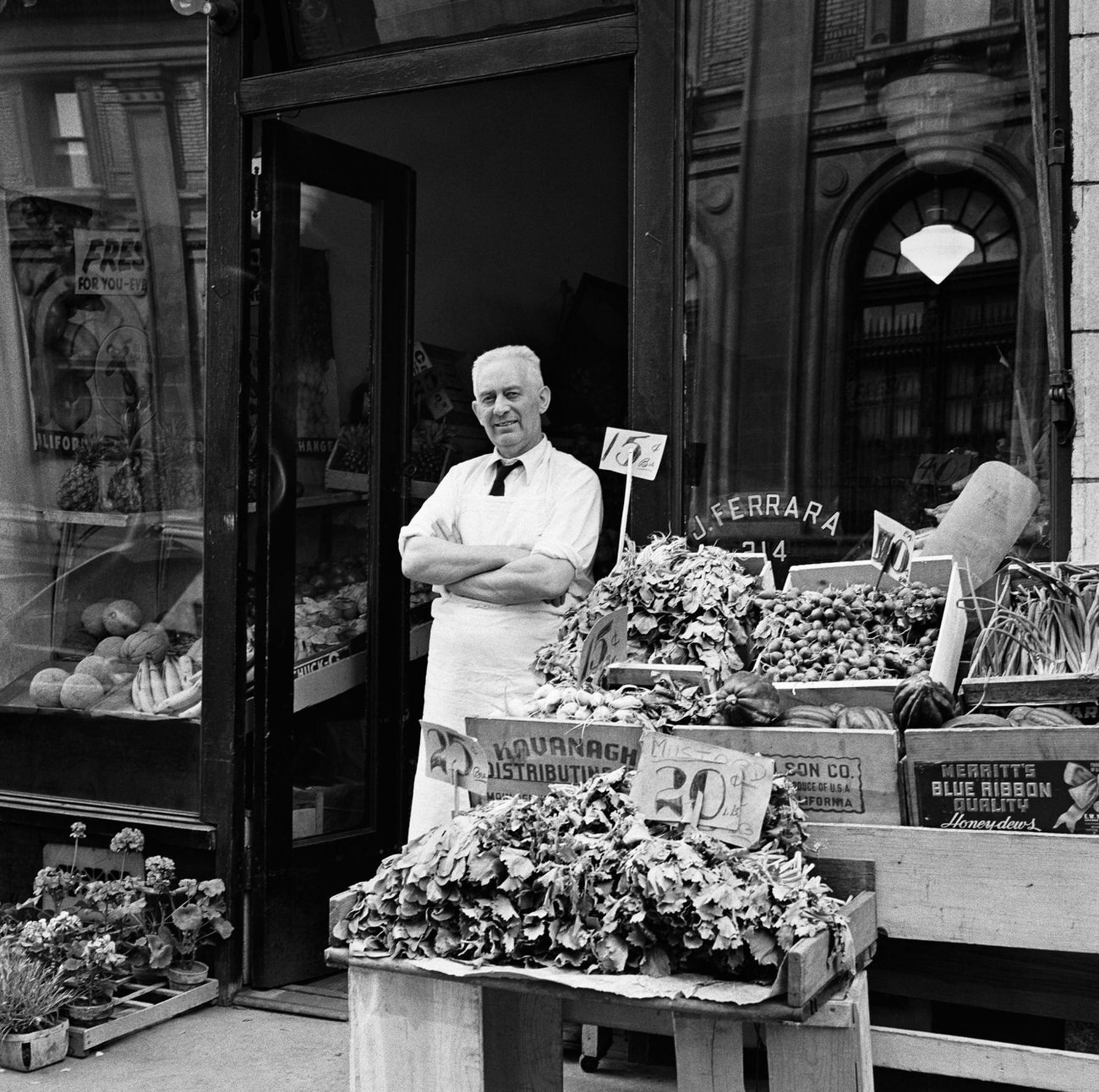 Grocer At J. Ferrara Grocery In Brooklyn Heights, 1958.