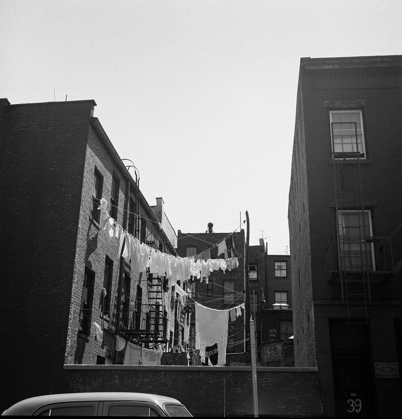Clothes Hanging On A Clothesline Next To P.c. Herwig Co. In Brooklyn Heights, 1958.