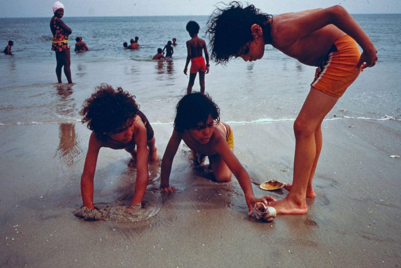 Children Playing On Shore At Reis Park Beach, Brooklyn, 1974