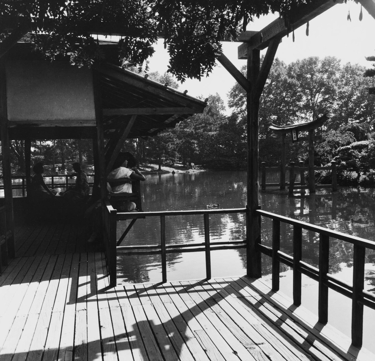 Japanese Hill-And-Pond Garden At Brooklyn Botanic Garden, Brooklyn, 1977.