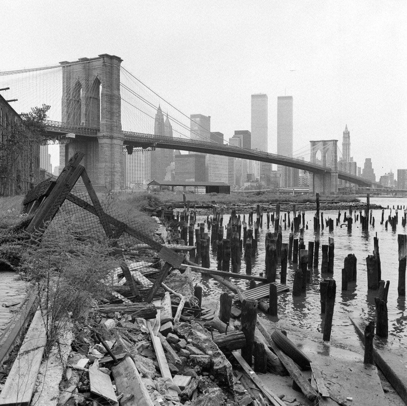 Southwest View From Empire Stores Across East River To Lower Manhattan, Brooklyn, 1977.
