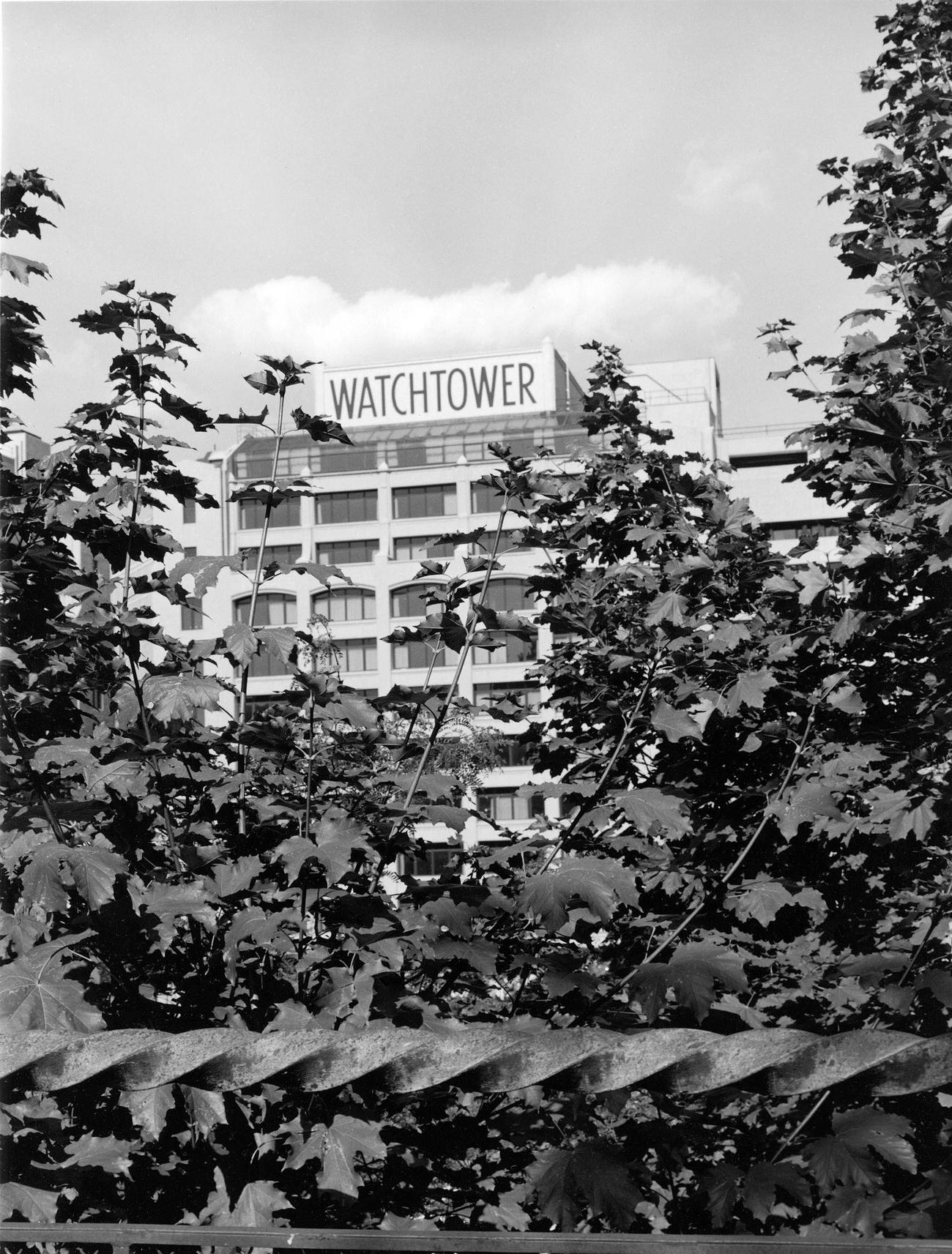 Jehovah'S Witness Headquarters Through Trees, 1985