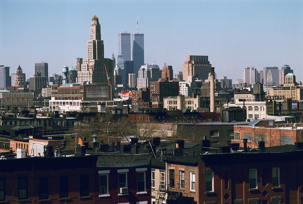 View Of Lower Manhattan From Crown Heights, Showing The 1927 Williamsburgh Savings Bank Tower, Brooklyn, 1996.