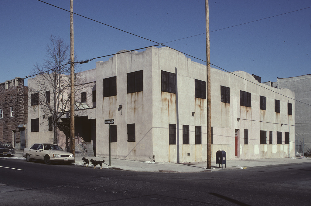 357 Saratoga Ave., Brooklyn, 1993.