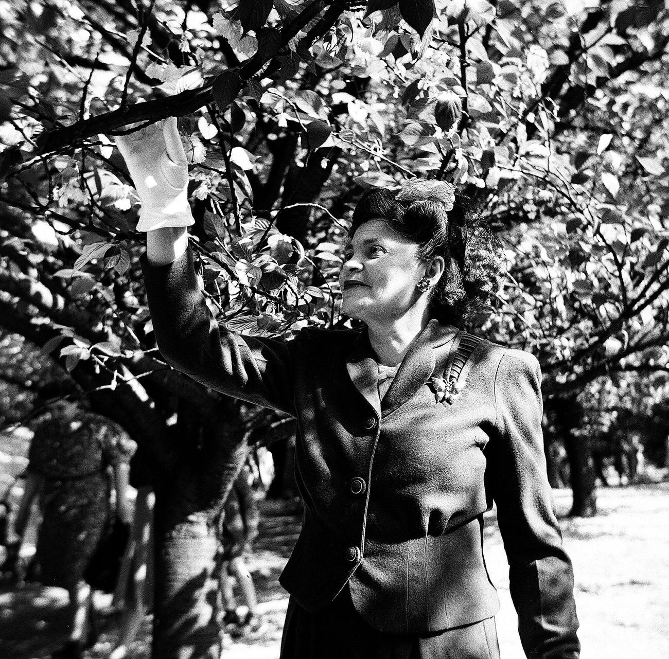 Ida Alman In The Brooklyn Botanic Garden, 1944