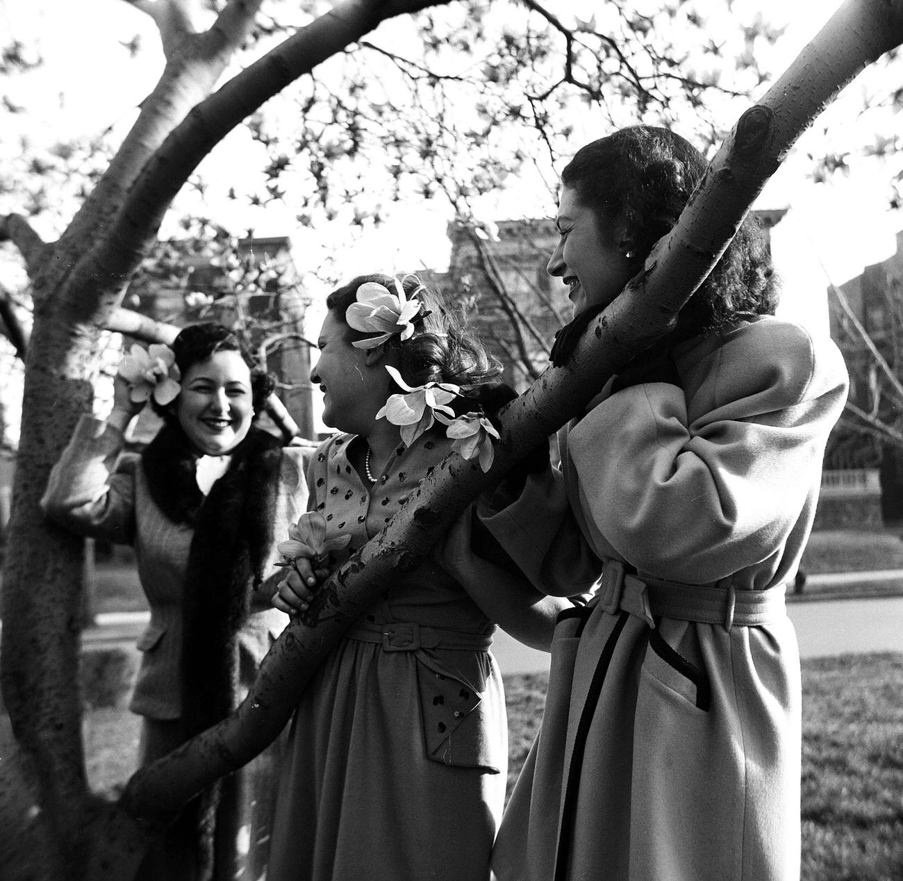 Trio Of Women Posing Beside A Tree In Park Slope, 1945