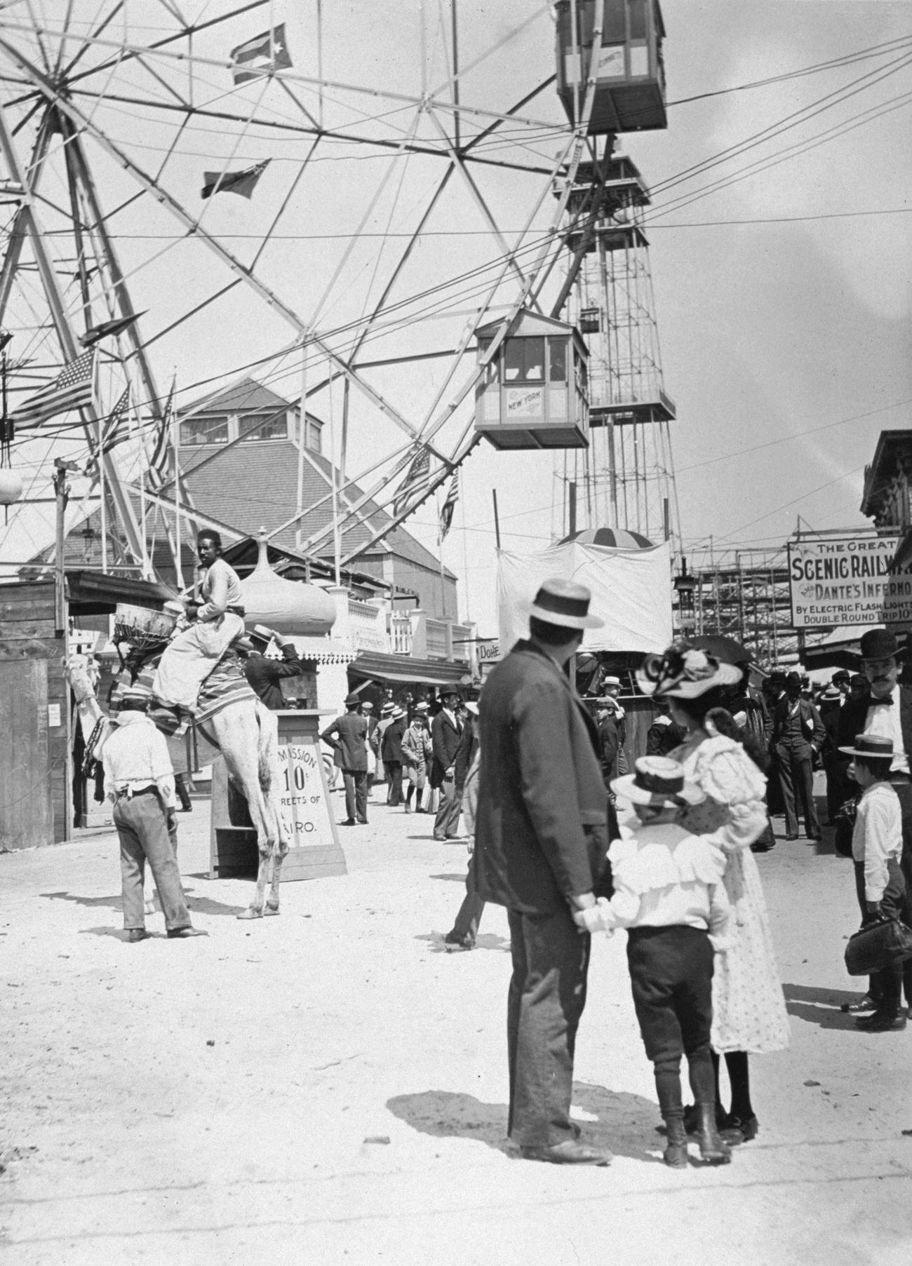 Young Family Watches Man On Camel At Coney Island, 1896