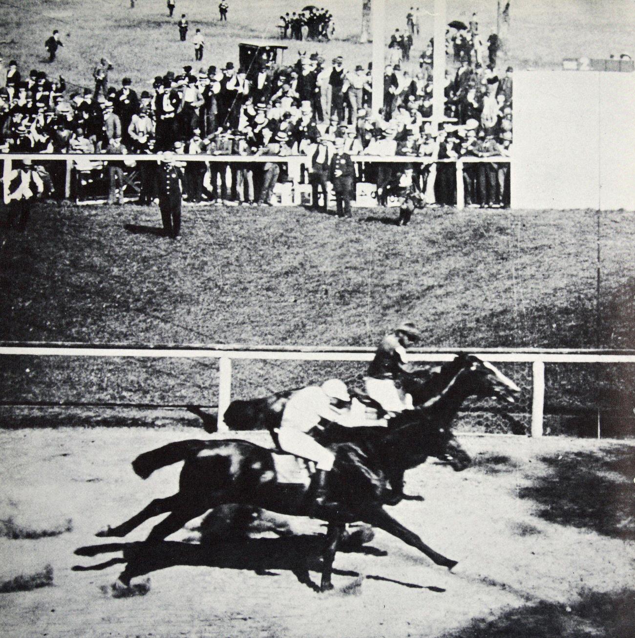 Salvator Defeats Tenny In Sheepshead Bay Race, 1890
