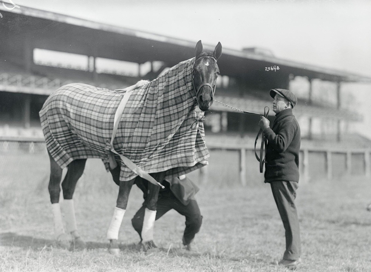 Racehorse Posing In His Blanket, Silver Thread, March 24, 1915.