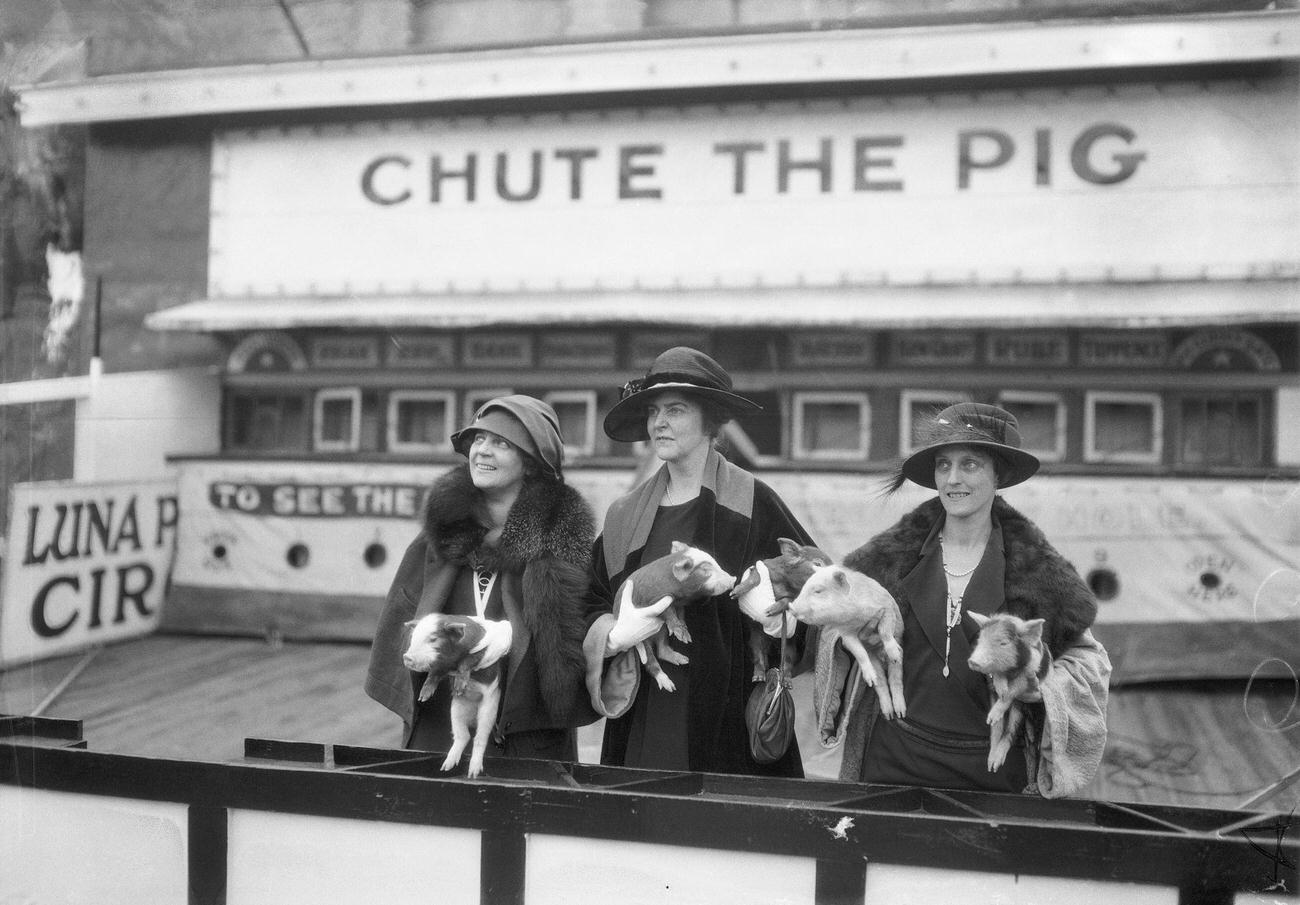 Society Circus Committee At Luna Park