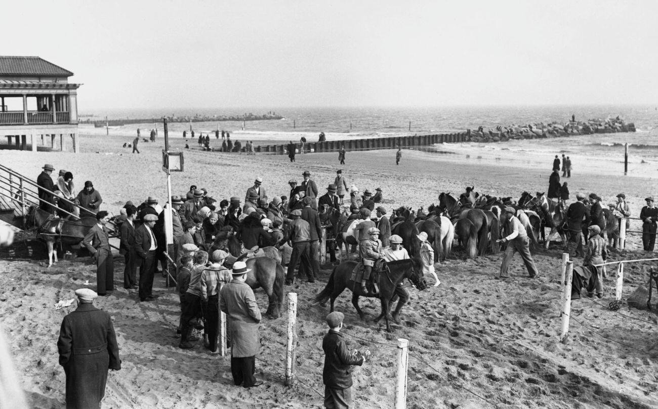 Children Riding Ponies At Coney Island Beach, 1930