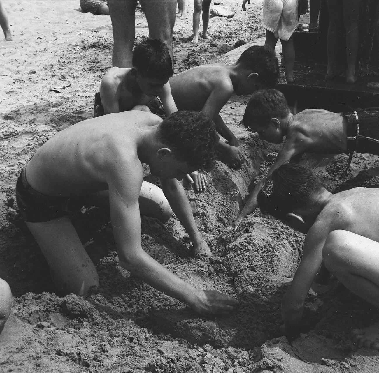 Young Boys Digging In The Sand On The Beach, 1944