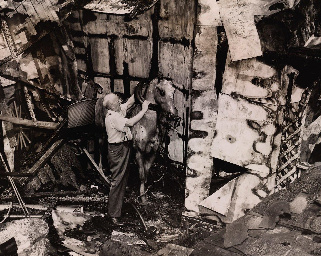 Man Cares For Horse After Luna Park Fire, August 1944