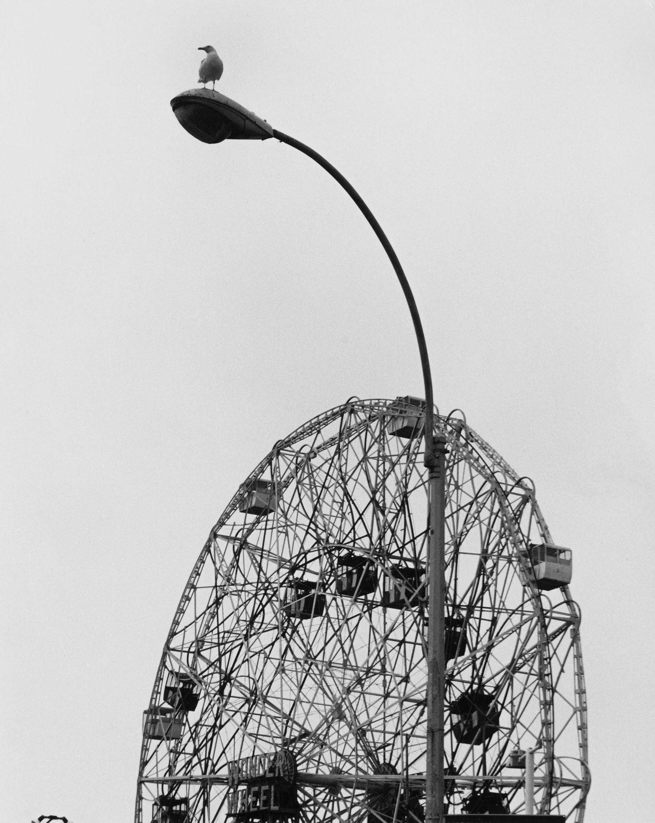 Deno'S Wonder Wheel At Coney Island, Circa 1970