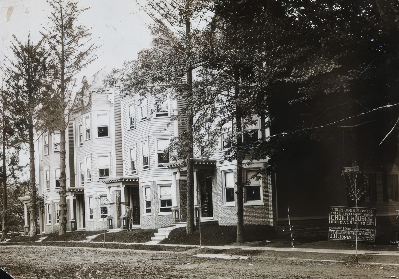 Ogden Avenue, 1903.
