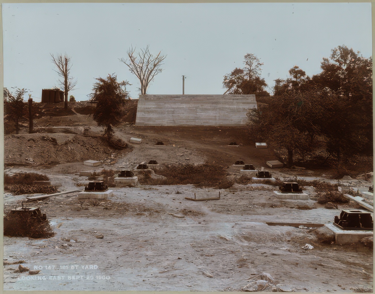 181St Street Yard Looking East, 1900.