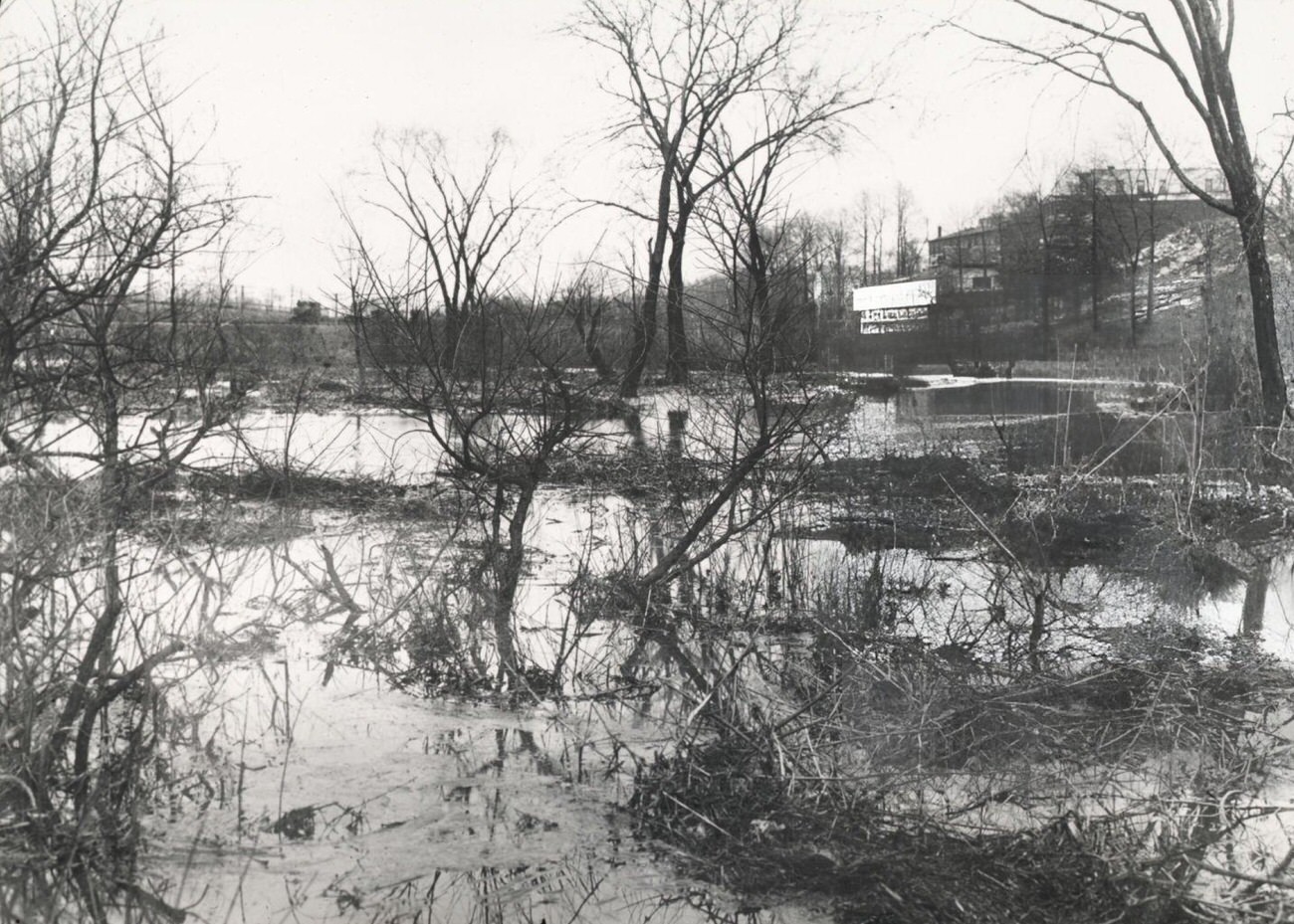 Wakefield Area Before Reclamation, Showing A Swamp, Bronx, 1907.
