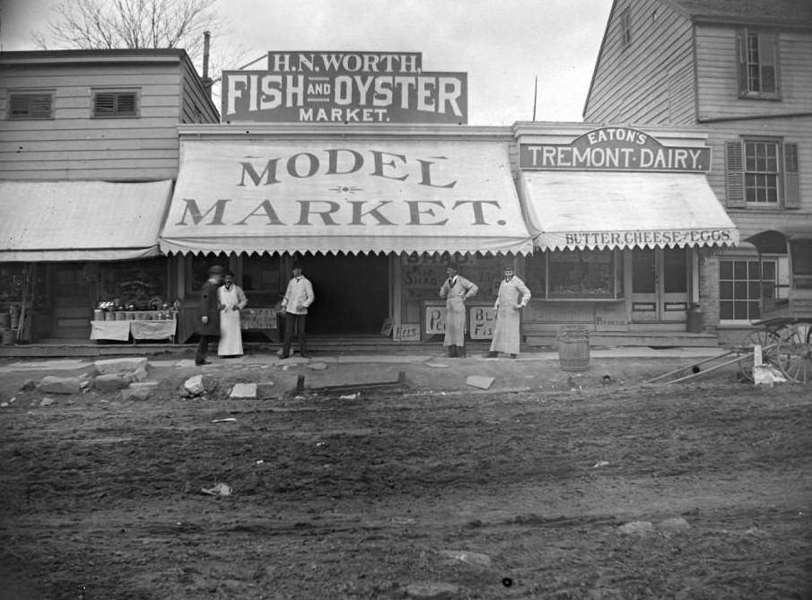 H.n. Worth Fish &Amp;Amp; Oyster Market And Eaton'S Tremont Dairy In Tremont, Bronx, 1902.