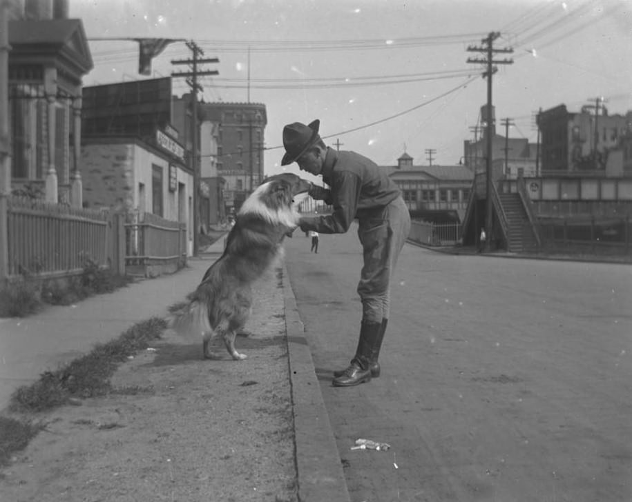 Willie Stonebridge In Uniform Playing With Laddie, Bronx, 1918
