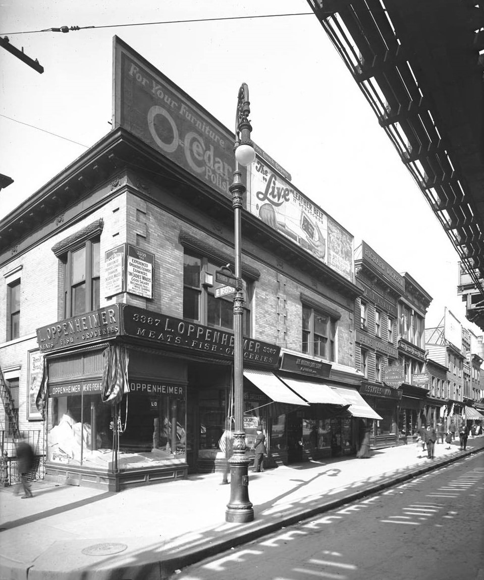 Third Avenue And East 166Th Street, Bronx, 1919.