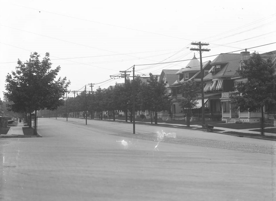 A Neighborhood With Tree-Lined Street, Possibly In The Bronx, Circa 1916.
