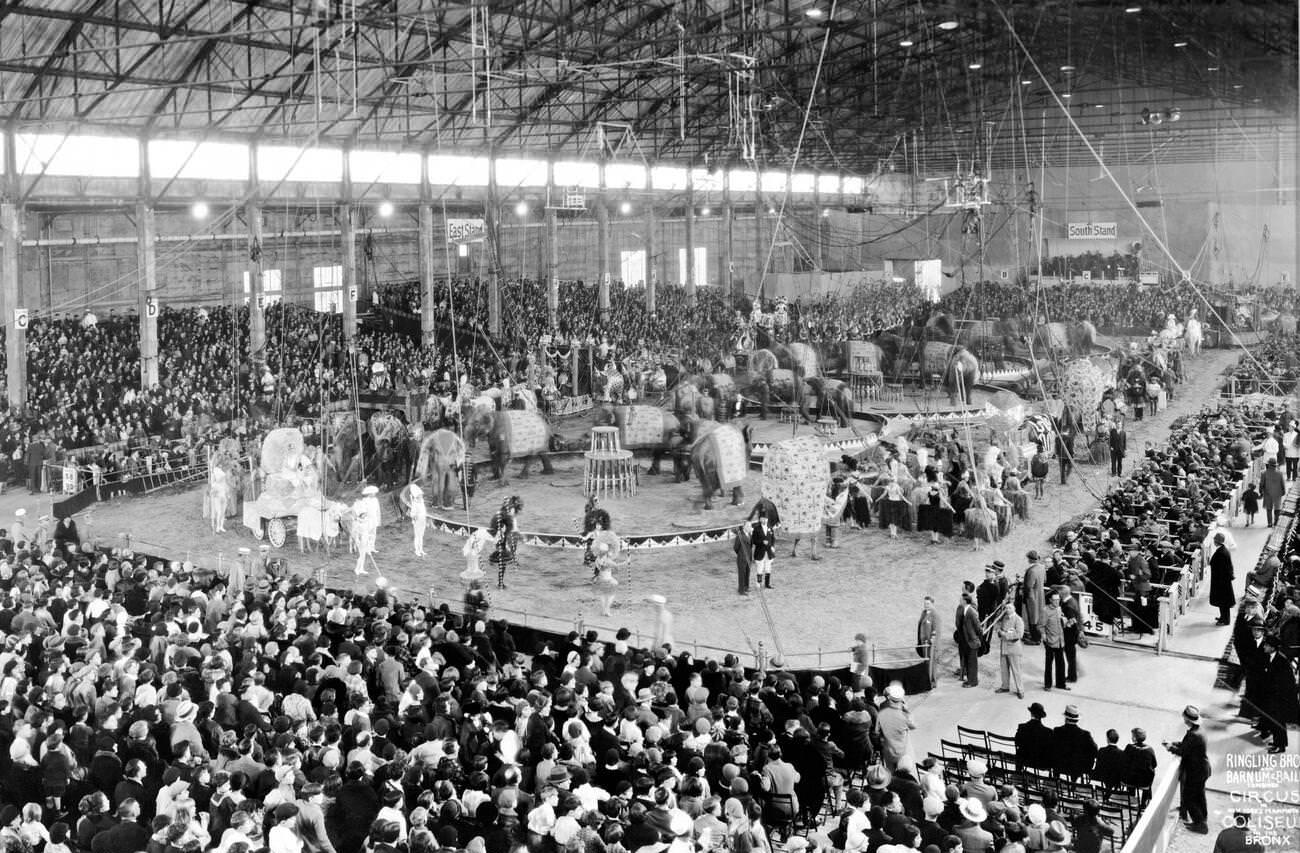 Ringling Brothers And Barnum &Amp;Amp; Bailey Circus At The Coliseum In The Bronx, 1929.