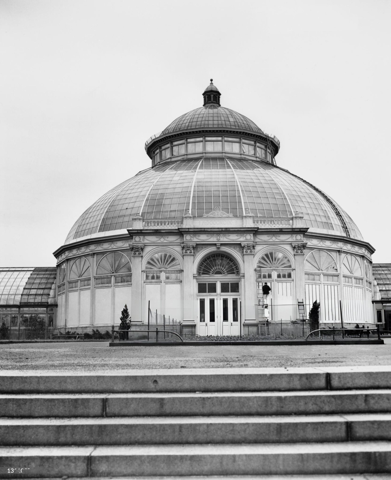 The Conservatory At The New York Botanical Garden In Bronx Park, Renamed The Enid A Haupt Conservatory, Circa 1946.