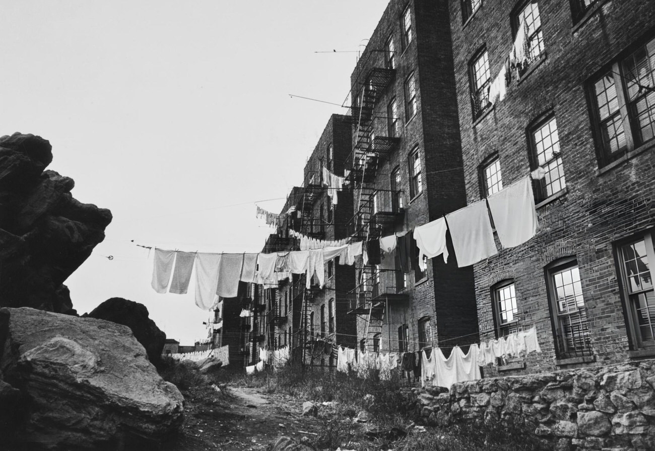 Clotheslines Behind An Apartment Building In The Bronx, 1957.